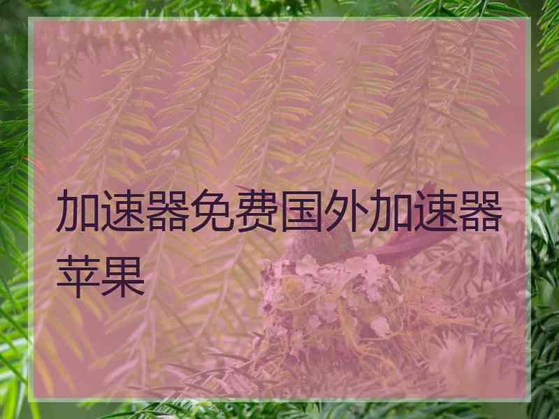 加速器免费国外加速器苹果