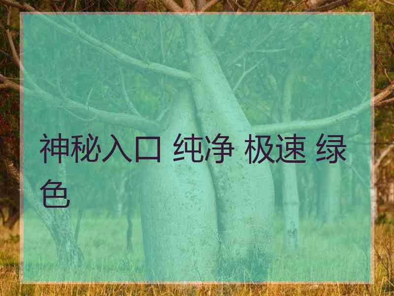 神秘入口 纯净 极速 绿色