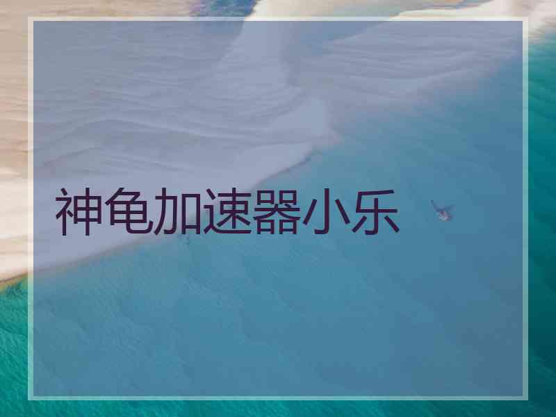 神龟加速器小乐