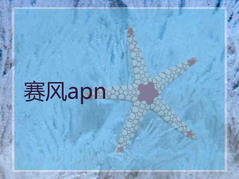 赛风apn