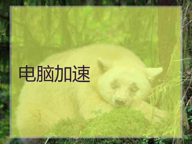电脑加速