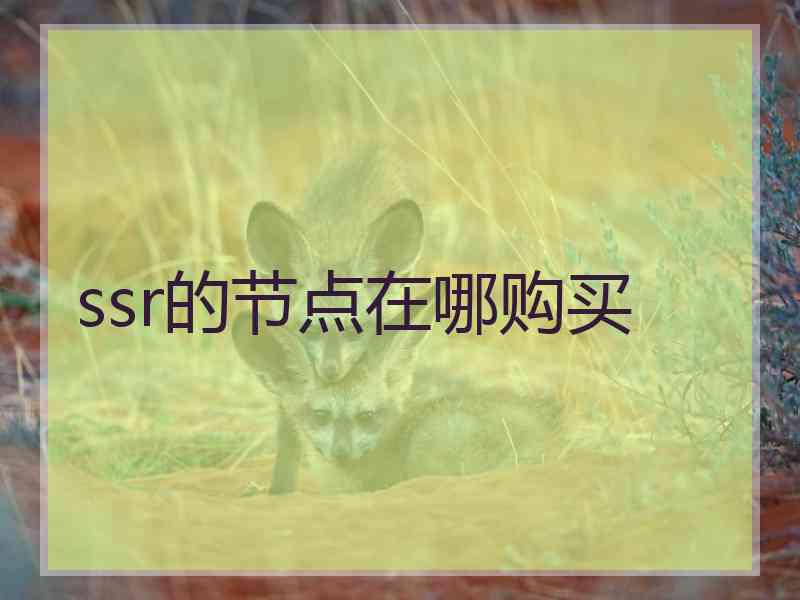 ssr的节点在哪购买