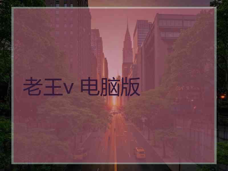 老王v 电脑版