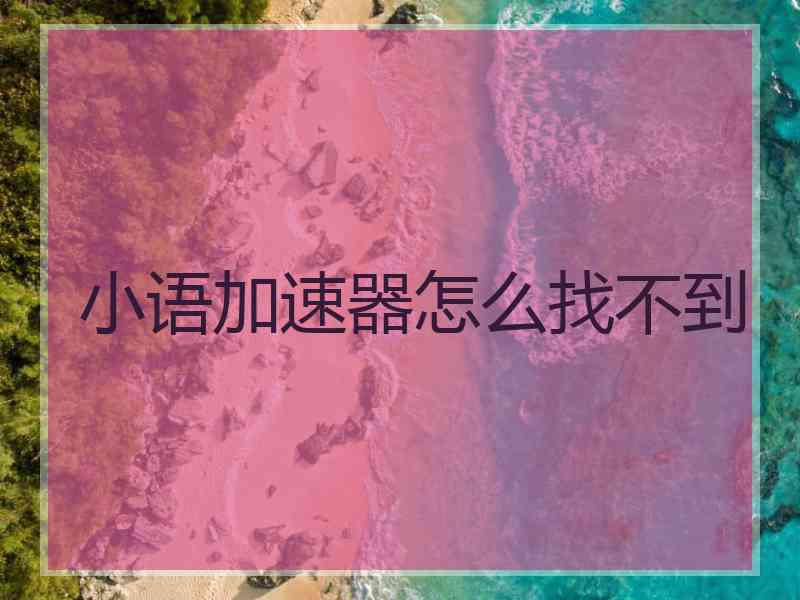 小语加速器怎么找不到