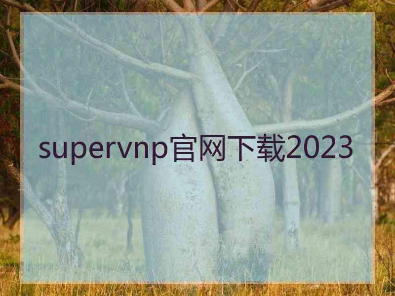 supervnp官网下载2023