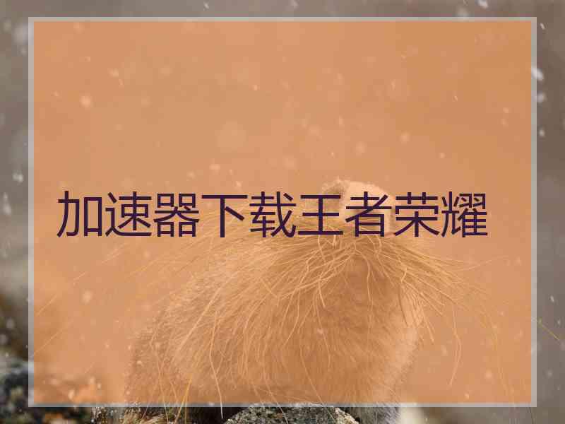 加速器下载王者荣耀