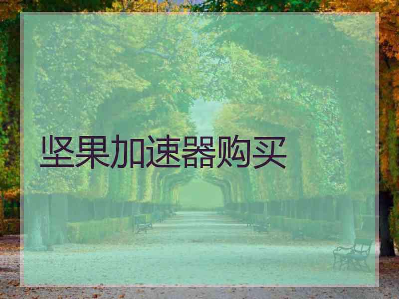 坚果加速器购买