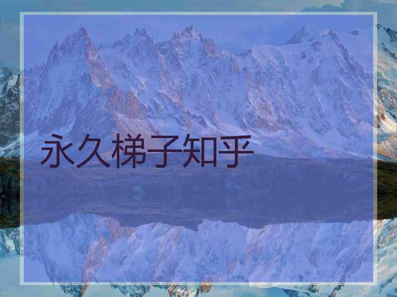 永久梯子知乎