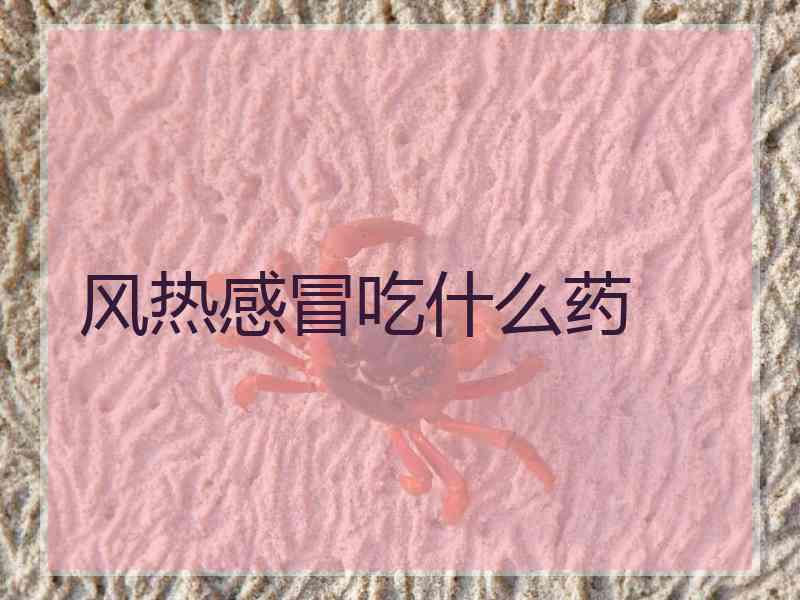 风热感冒吃什么药
