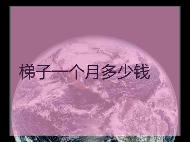 梯子一个月多少钱