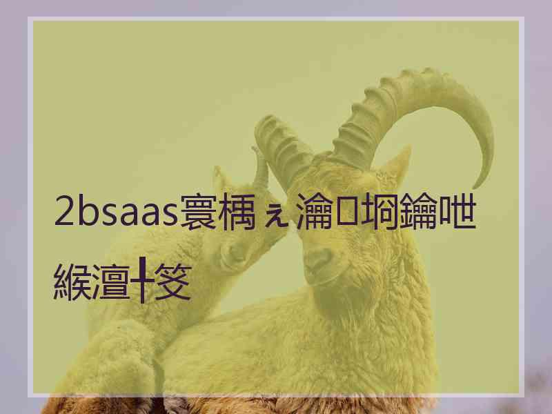2bsaas寰楀ぇ瀹㈡埛鑰呭緱澶╀笅