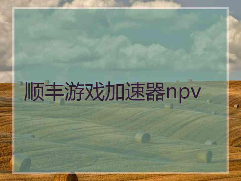 顺丰游戏加速器npv