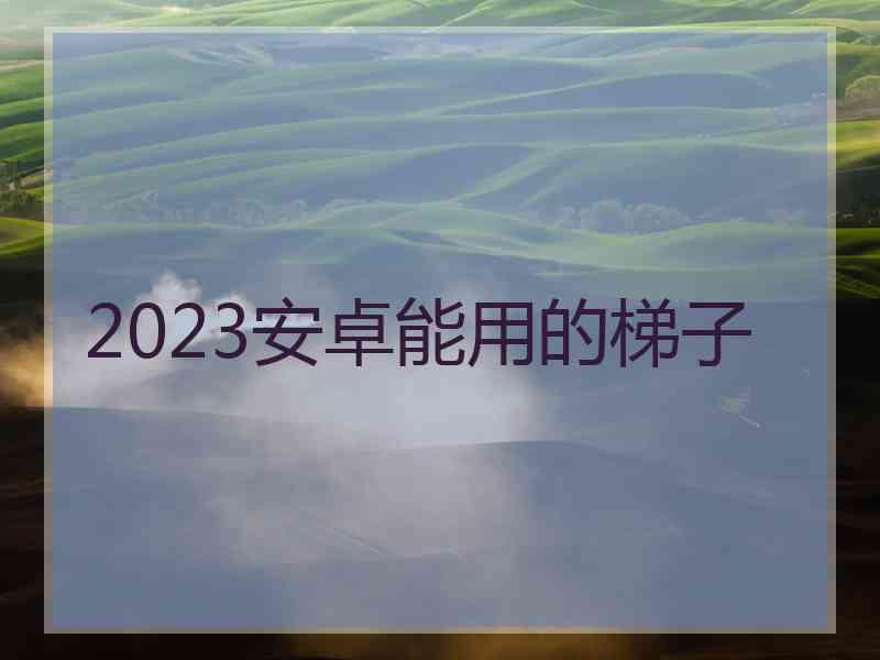 2023安卓能用的梯子