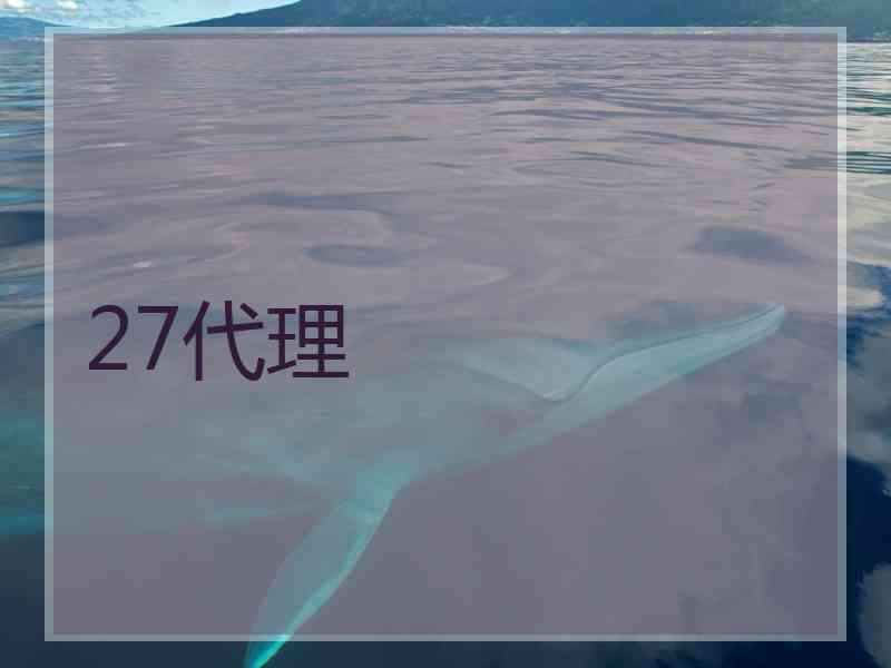 27代理