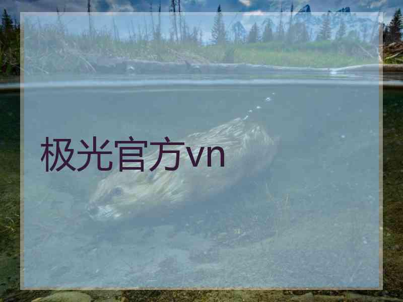 极光官方vn