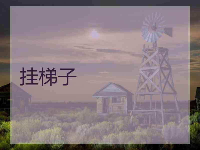 挂梯子