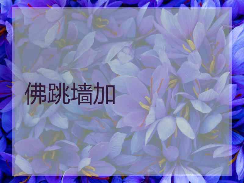佛跳墙加