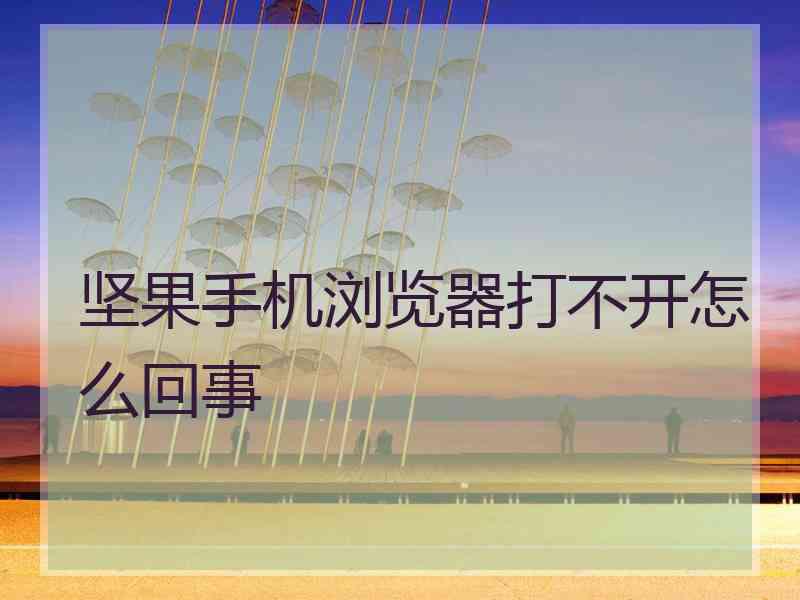坚果手机浏览器打不开怎么回事