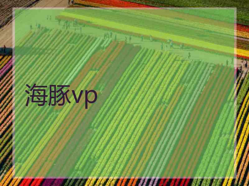 海豚vp