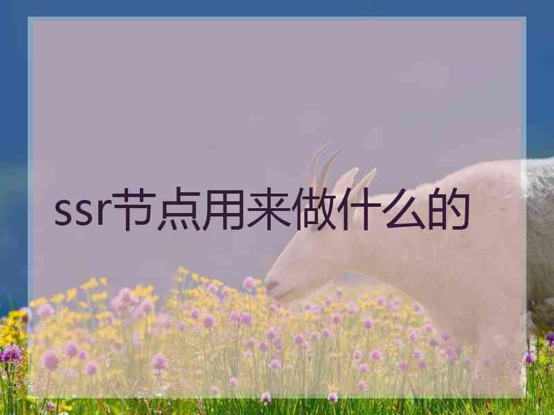 ssr节点用来做什么的