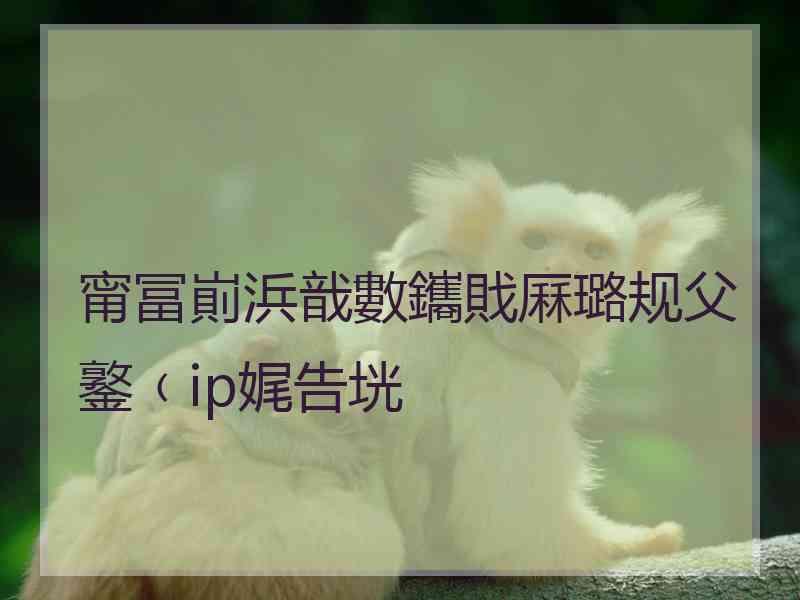 甯冨崱浜戠數鑴戝厤璐规父鐜﹙ip娓告垙