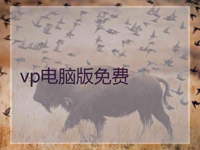 vp电脑版免费