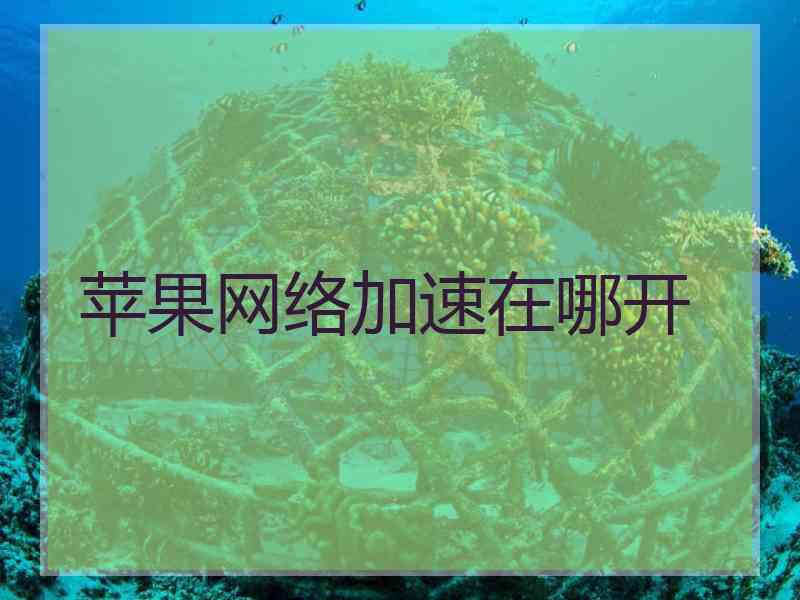 苹果网络加速在哪开