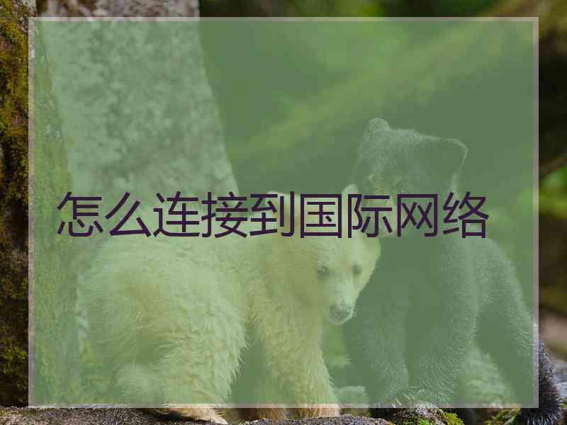 怎么连接到国际网络