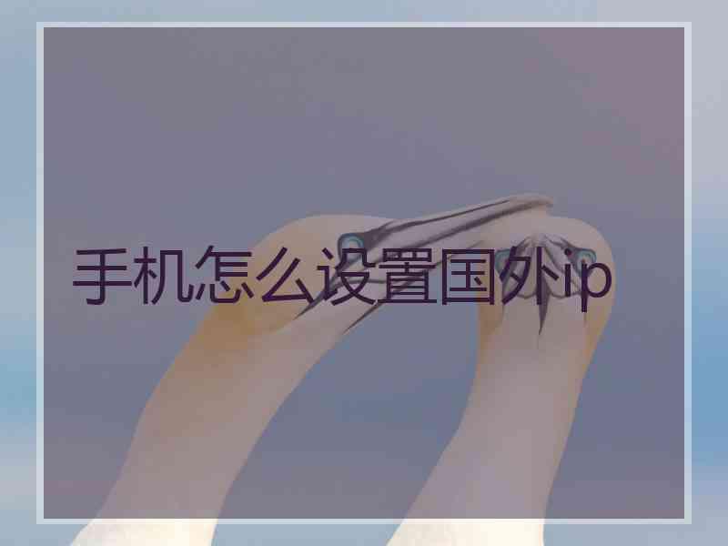 手机怎么设置国外ip