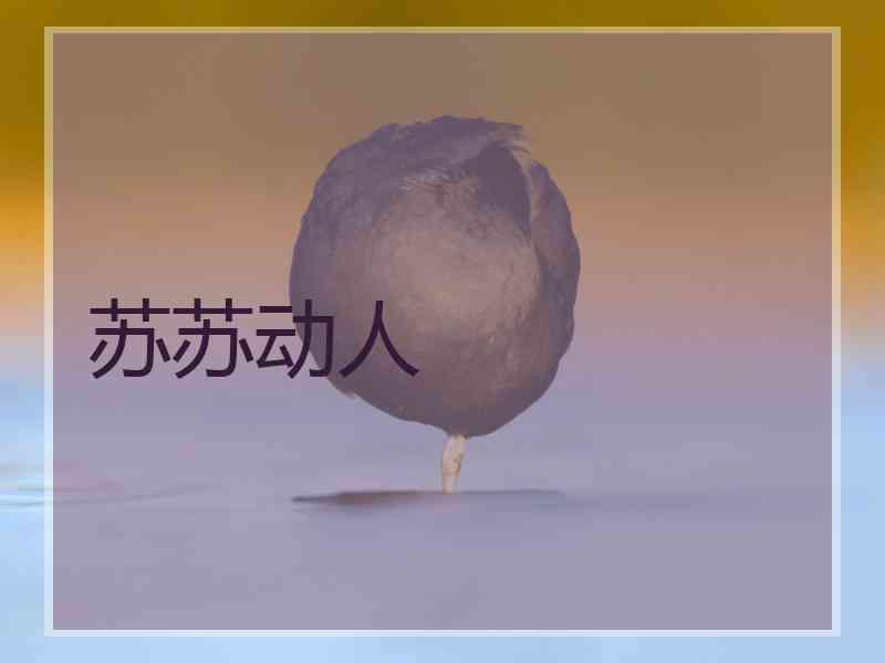 苏苏动人