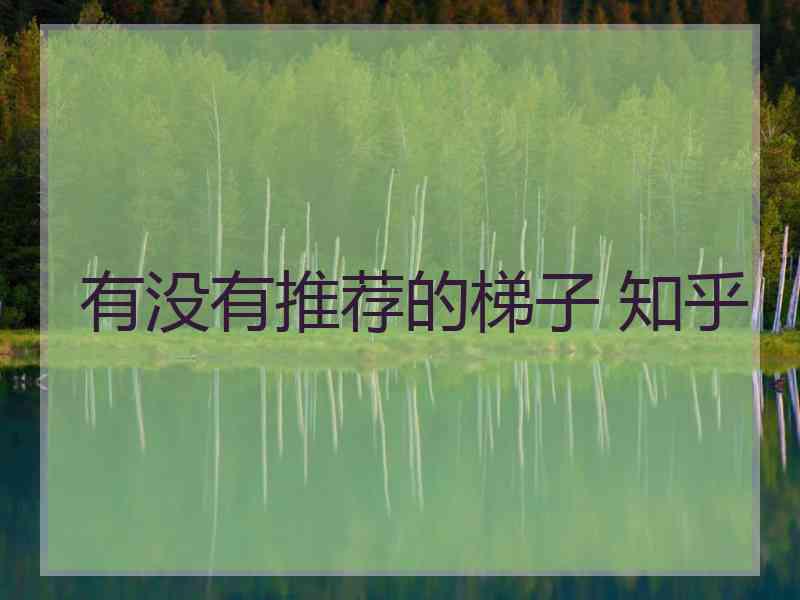 有没有推荐的梯子 知乎