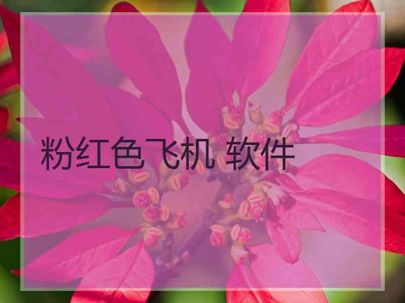 粉红色飞机 软件