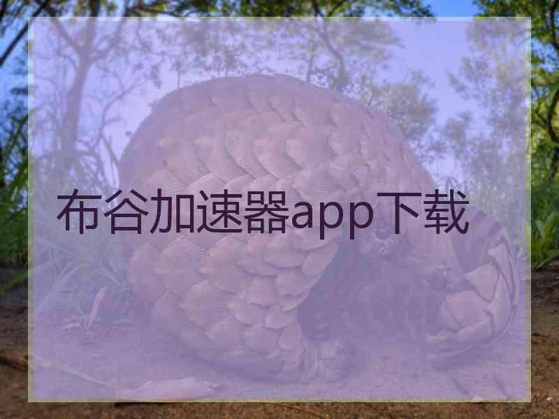 布谷加速器app下载