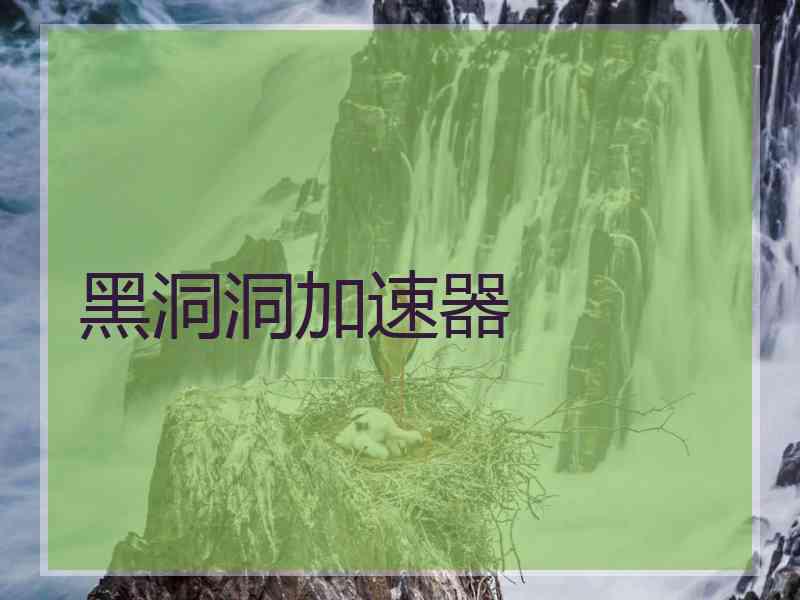 黑洞洞加速器