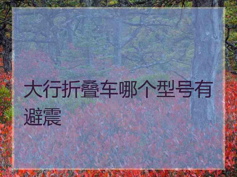大行折叠车哪个型号有避震