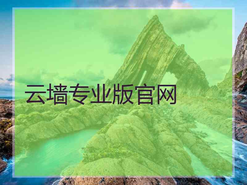 云墙专业版官网