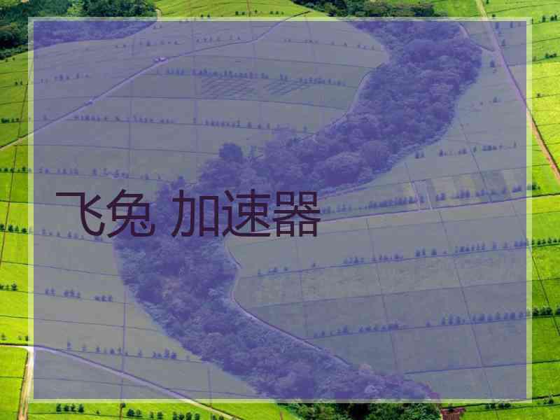 飞兔 加速器