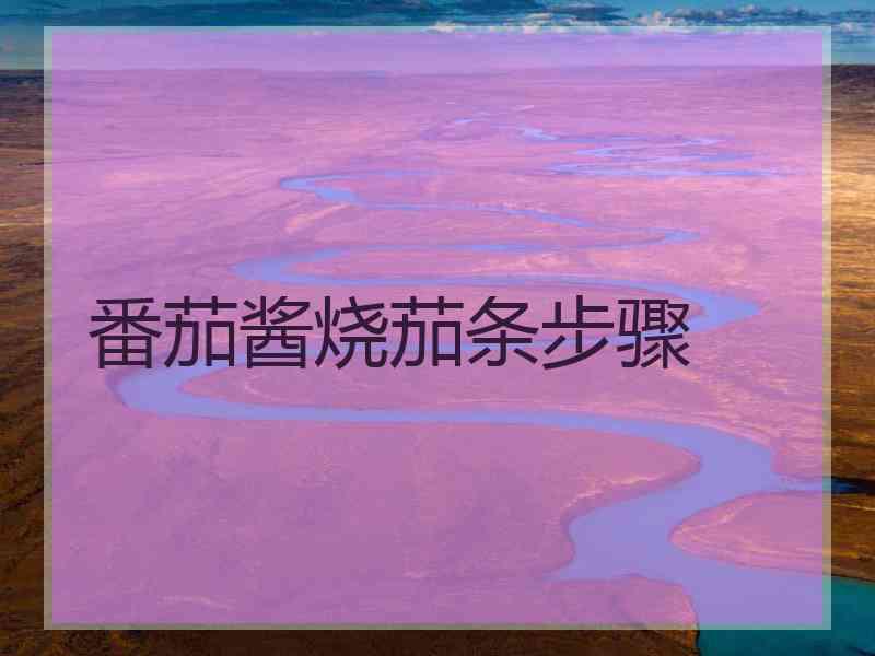 番茄酱烧茄条步骤