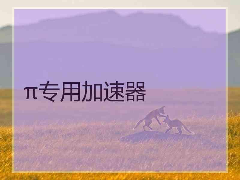 π专用加速器