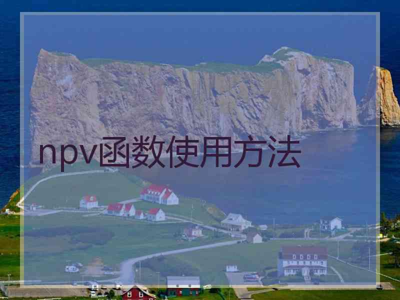 npv函数使用方法