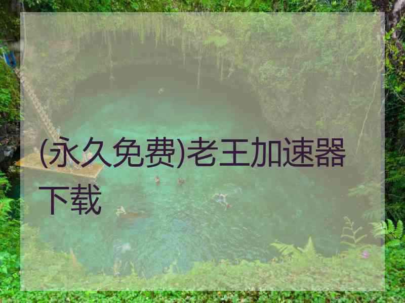 (永久免费)老王加速器下载