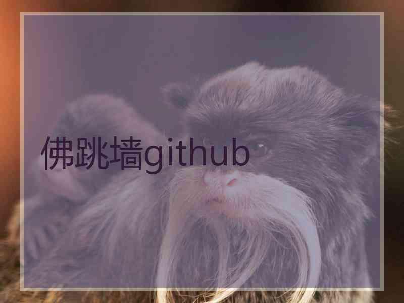 佛跳墙github