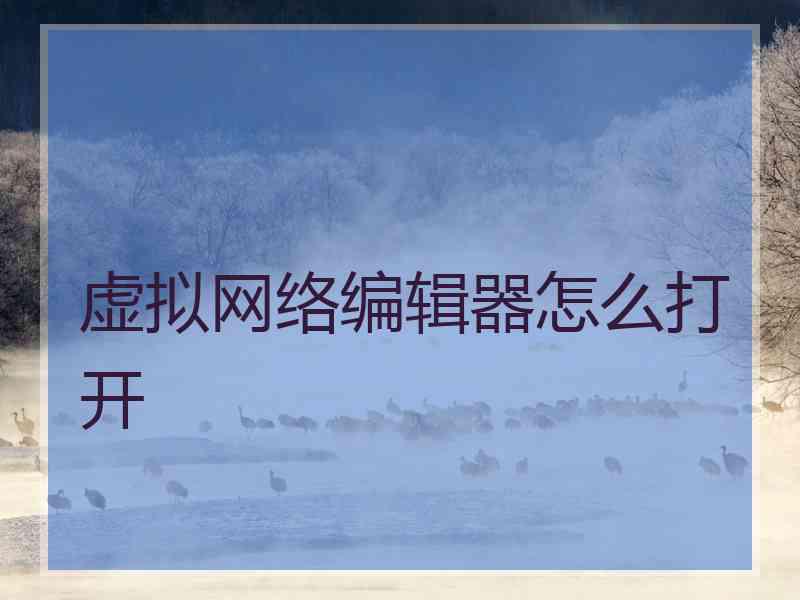 虚拟网络编辑器怎么打开