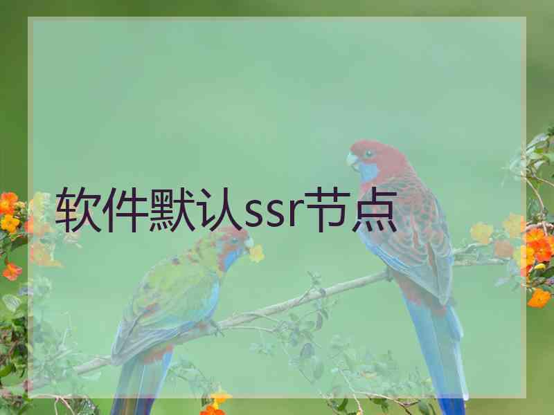 软件默认ssr节点