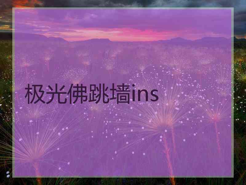 极光佛跳墙ins