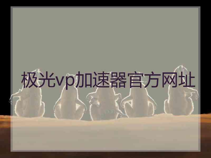 极光vp加速器官方网址