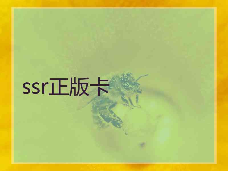 ssr正版卡
