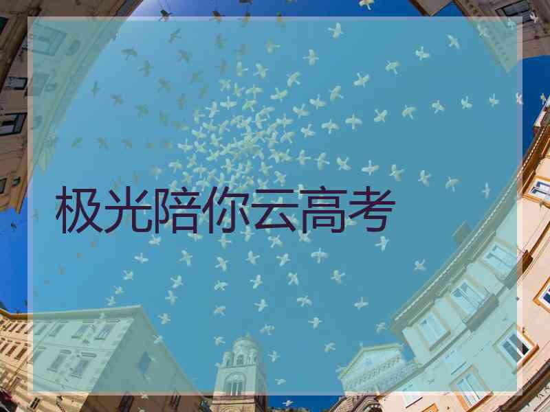 极光陪你云高考