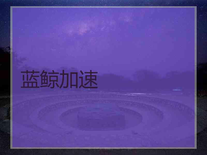 蓝鲸加速