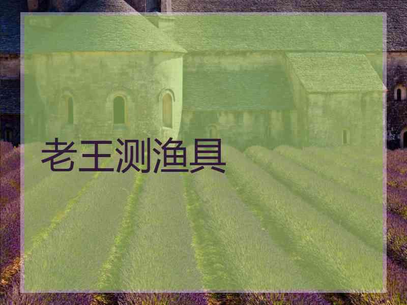 老王测渔具